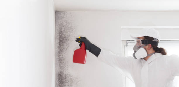 Best Emergency Mold Removal  in Uniontown, OH